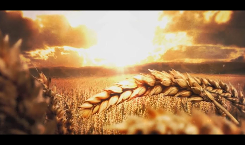 ad film company in coimbatore